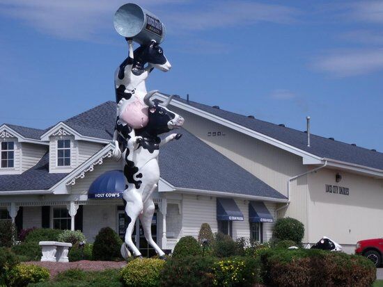 Holy Cow Ice Cream Parlour